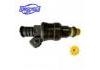 Injection Valve Injection Valve:RIN-245