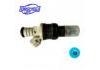 Injection Valve:RIN-710